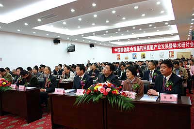 凯发k8国际官网